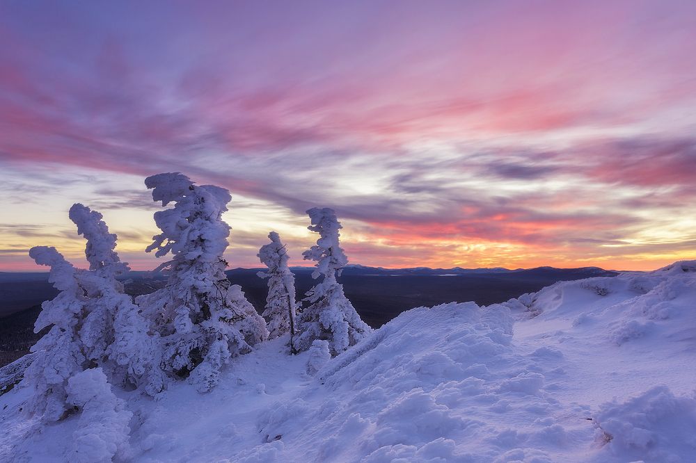 Наблюдатели...