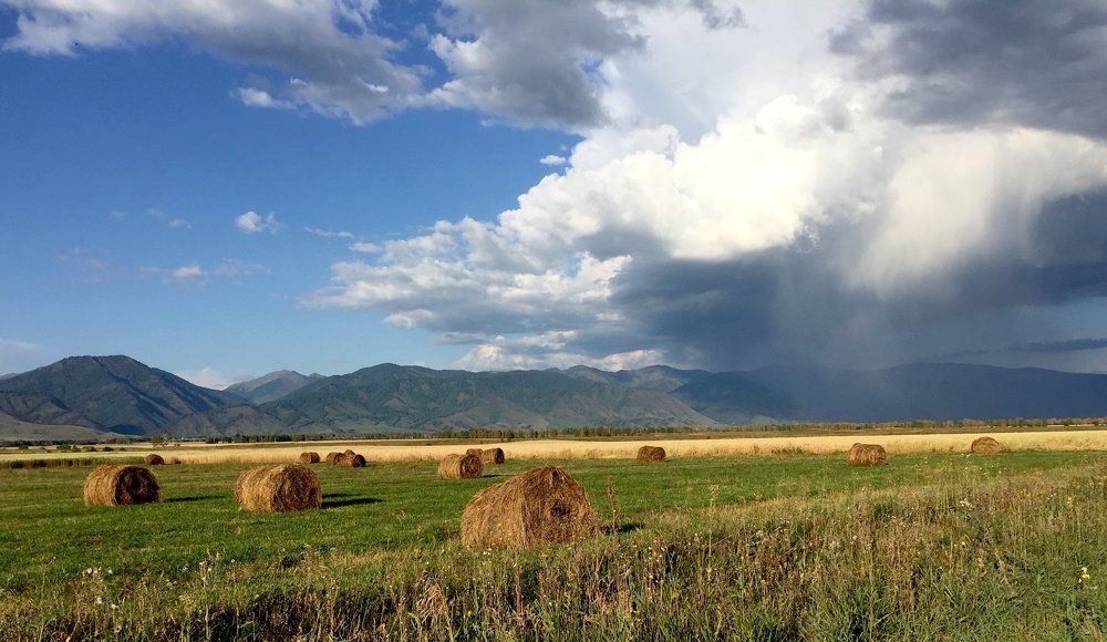 Где-то идёт дождь...