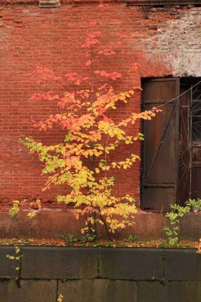 Цветовой переклик