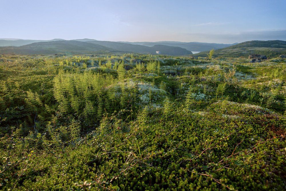 Заполярье