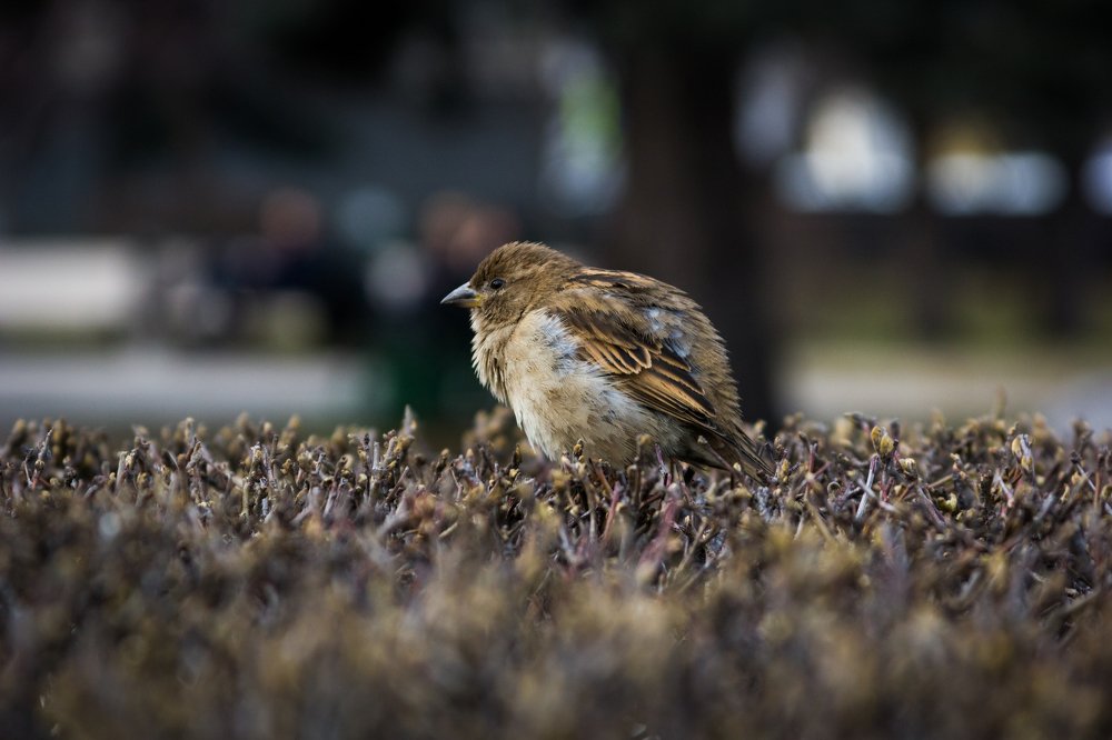 Холодно мне...