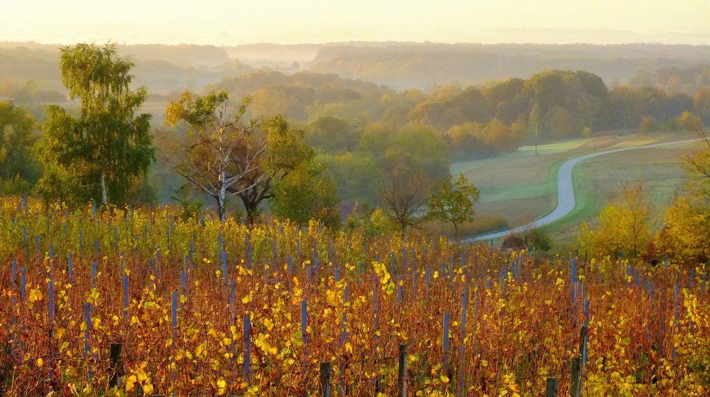 Jutarnje boje jeseni