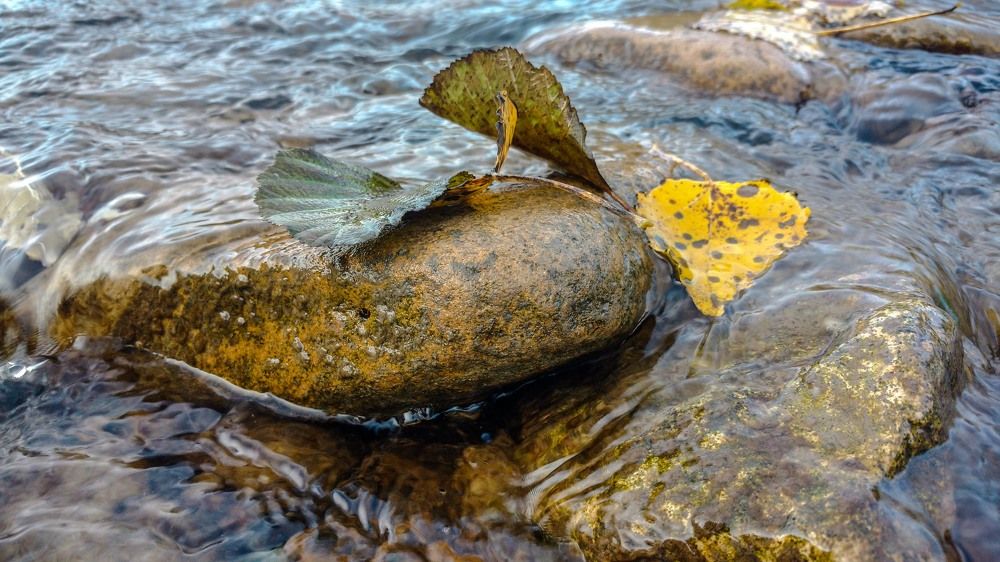 осенние корабики