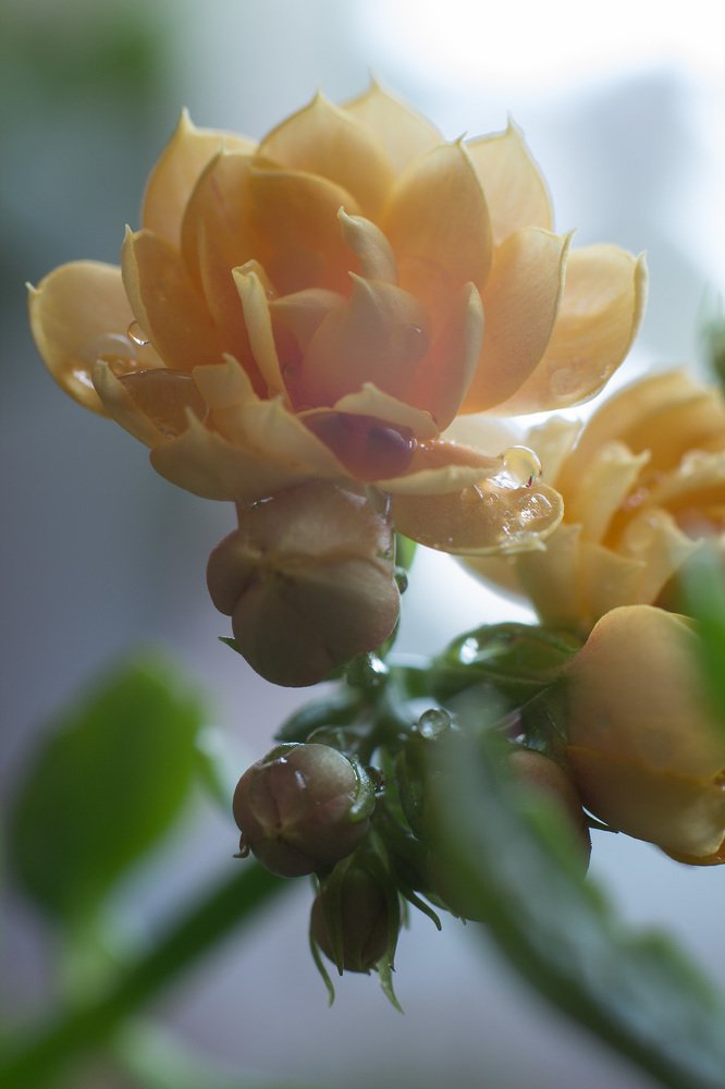 Photograph by Юлия