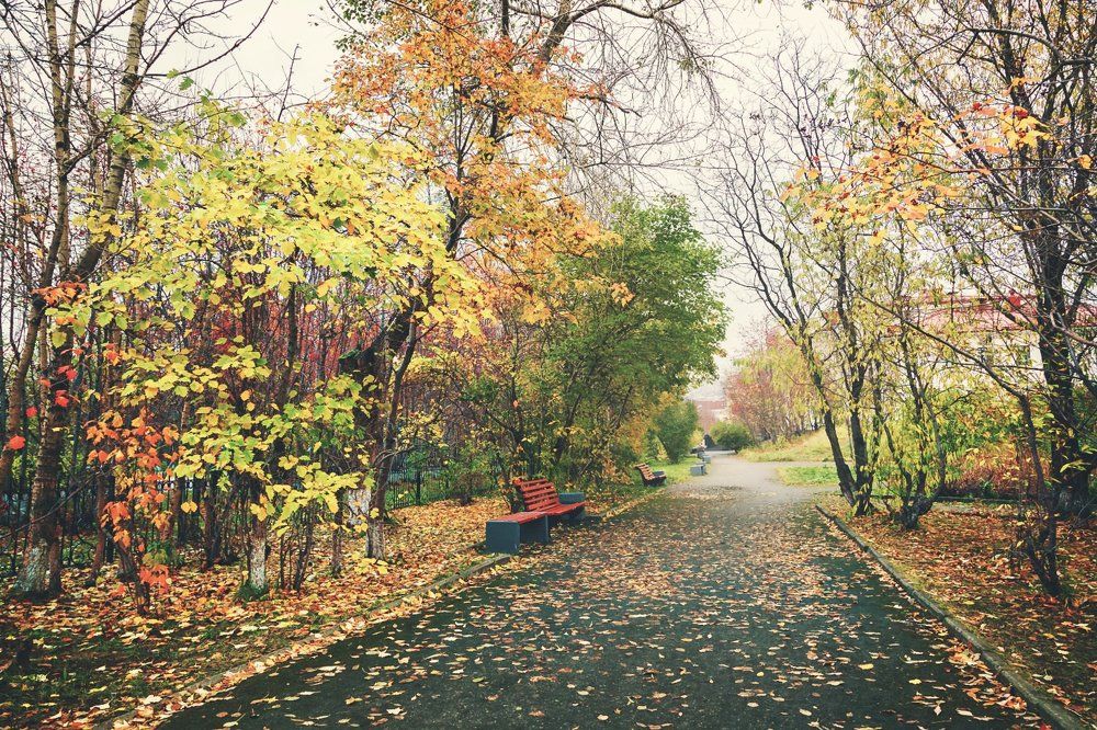 Осень в Мурманске
