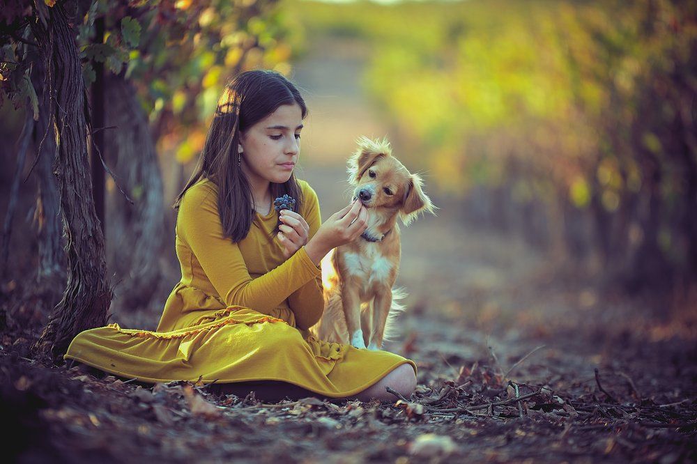 Сладкий вкус осени