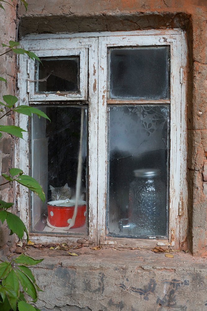 Photograph by Юлия