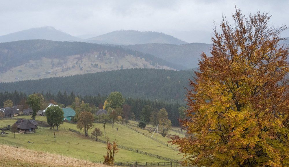 Краски осени