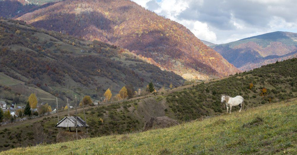 Краски осени