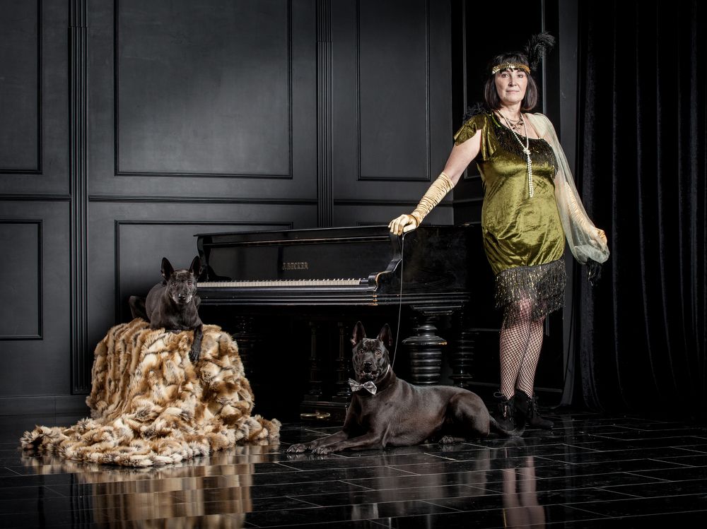 Леди  и ее собаки