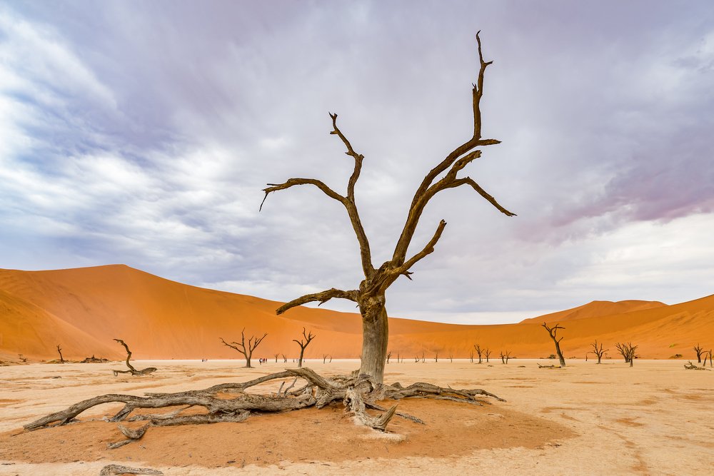 Photograph by slavka