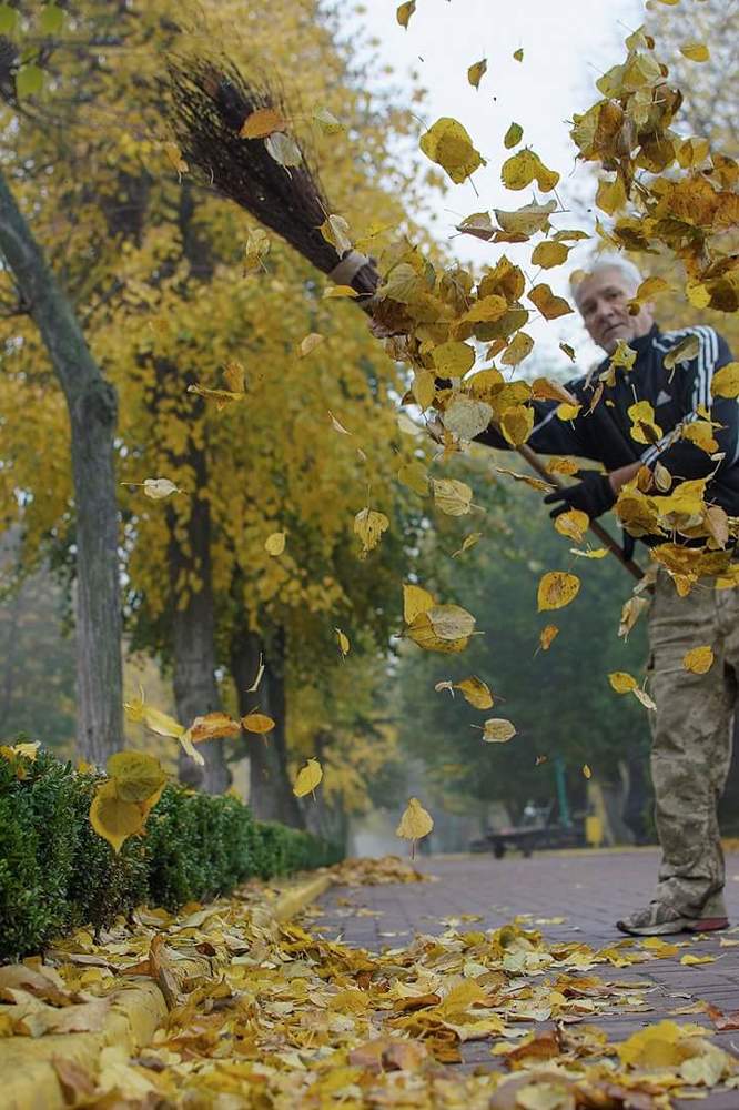 Осенило