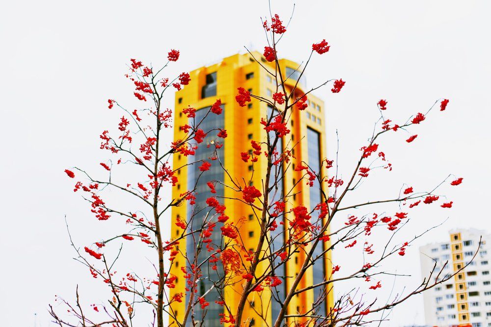 Осенние брызги.