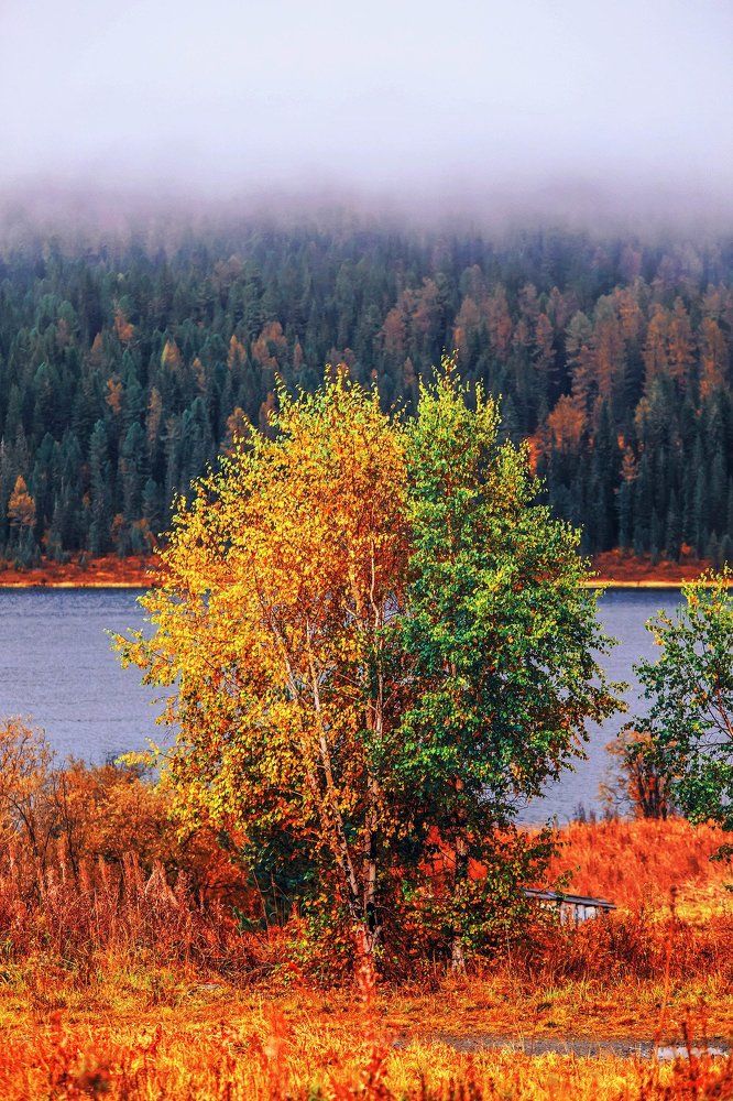 Зеленые не сдаются!