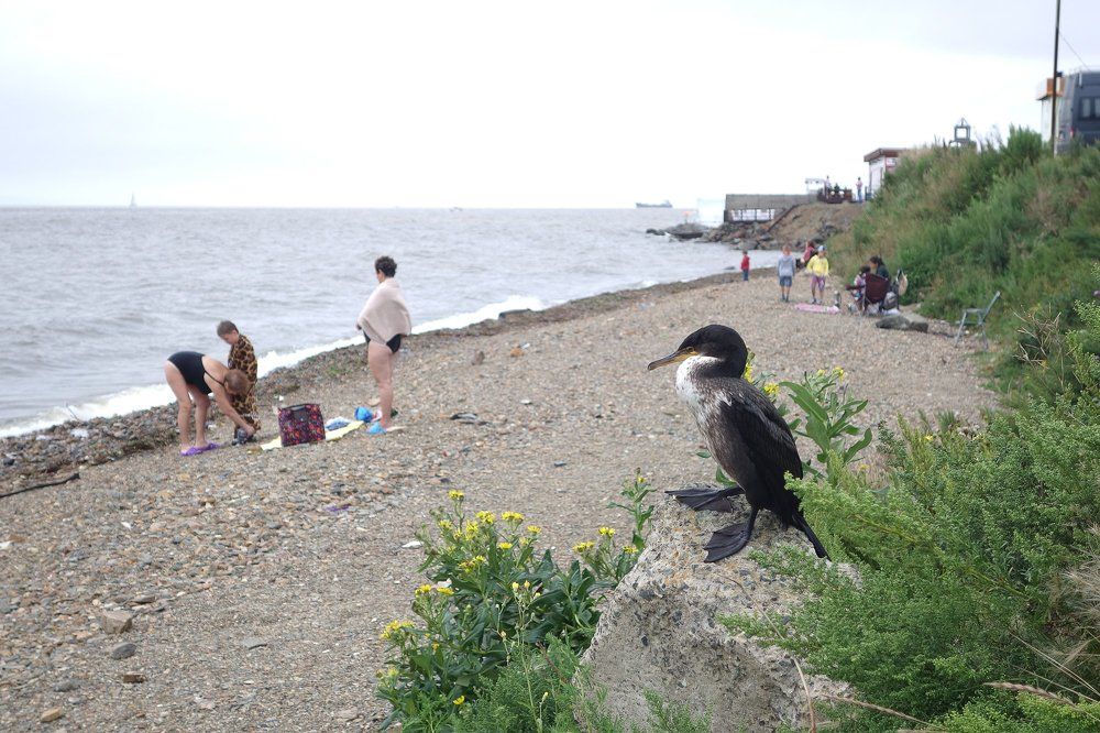 Интерес к людям