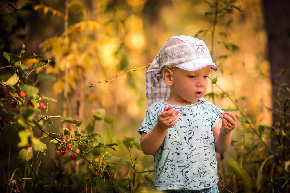 Познание окружающего мира