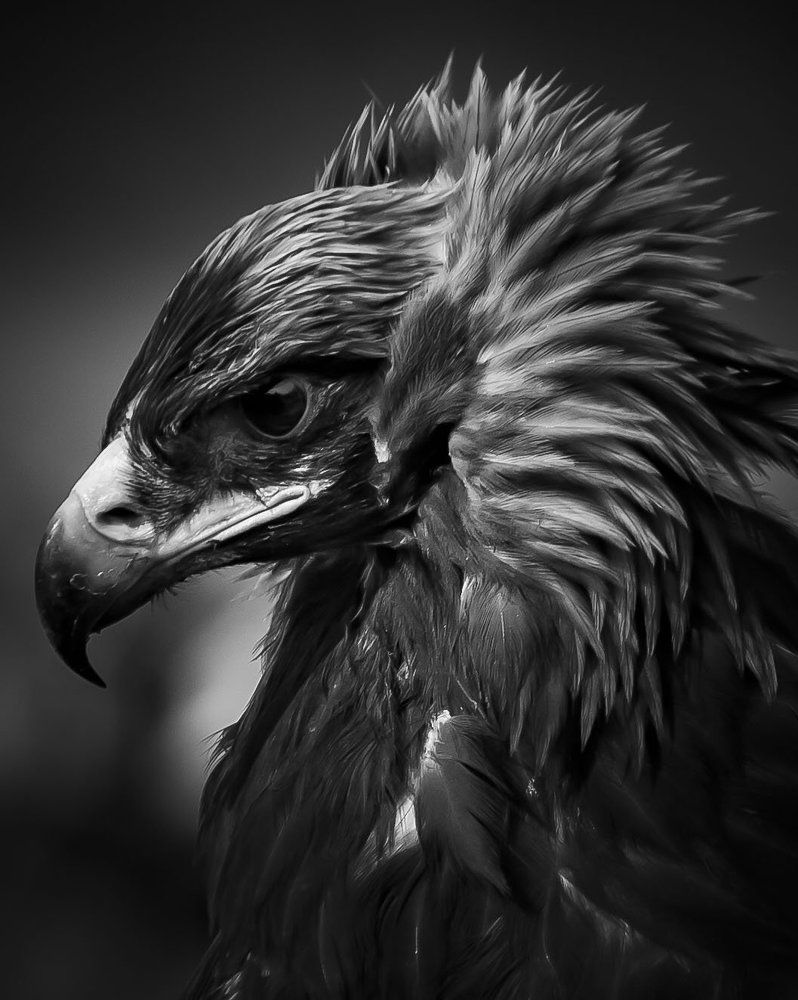 Photograph by Ирина Шевакова