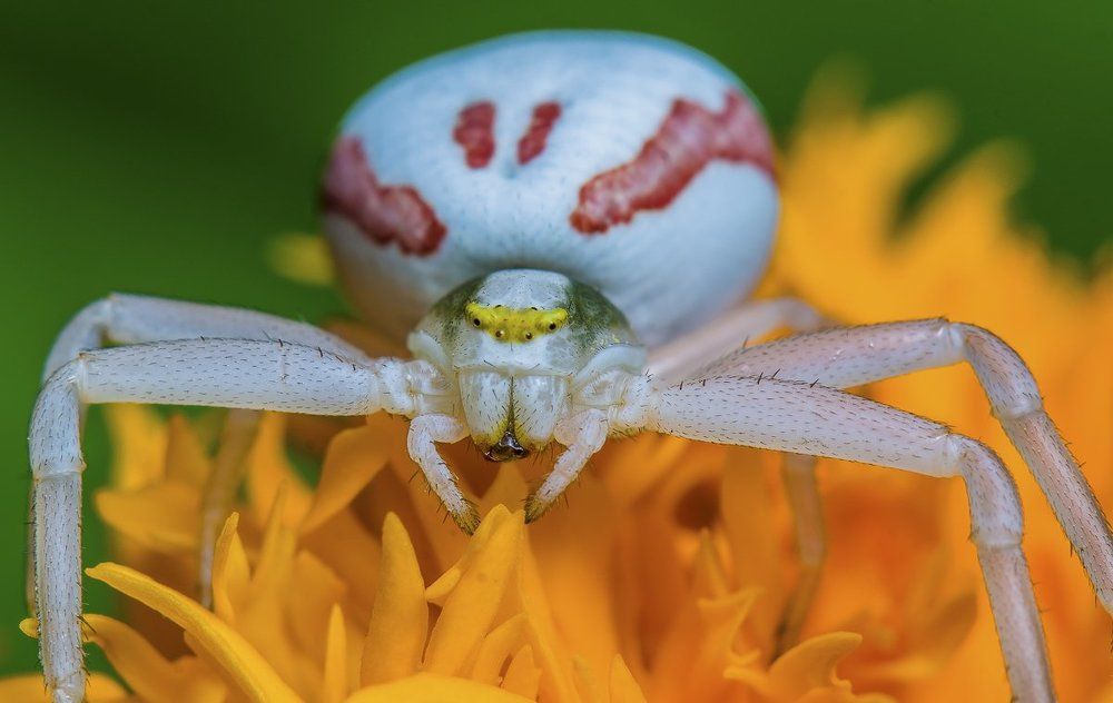 Photograph by Рутковский Дмитрий