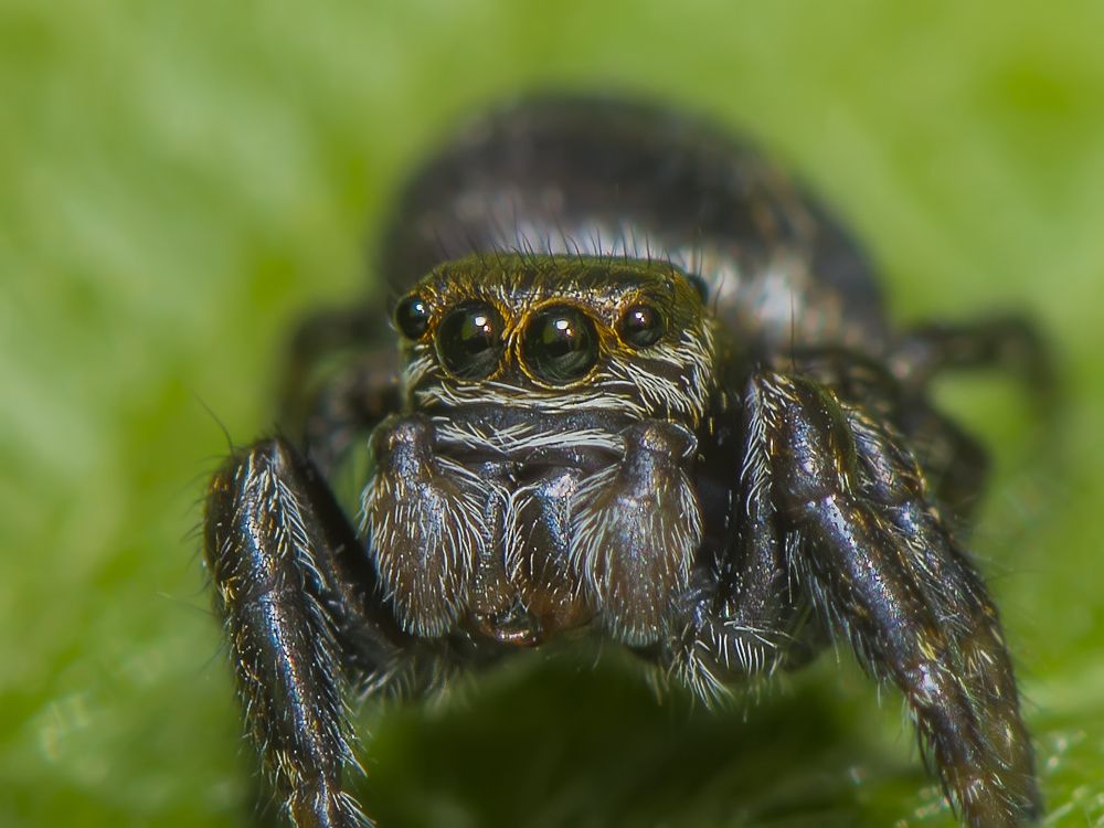 Photograph by Рутковский Дмитрий