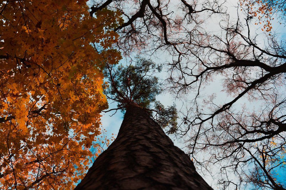 Осеннее небо