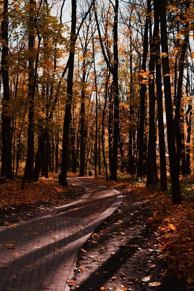 Осенний уют