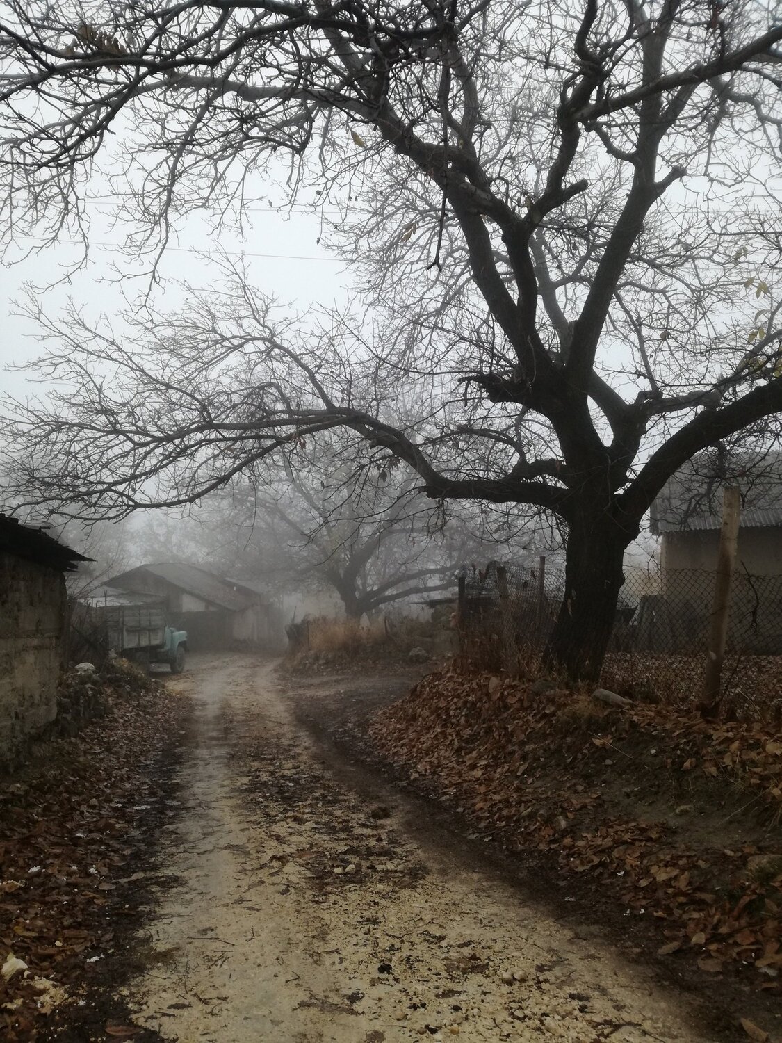 Осень