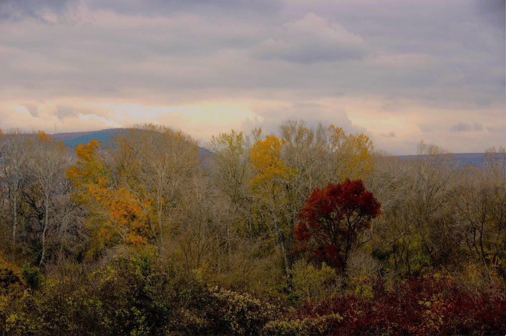 Краски осени