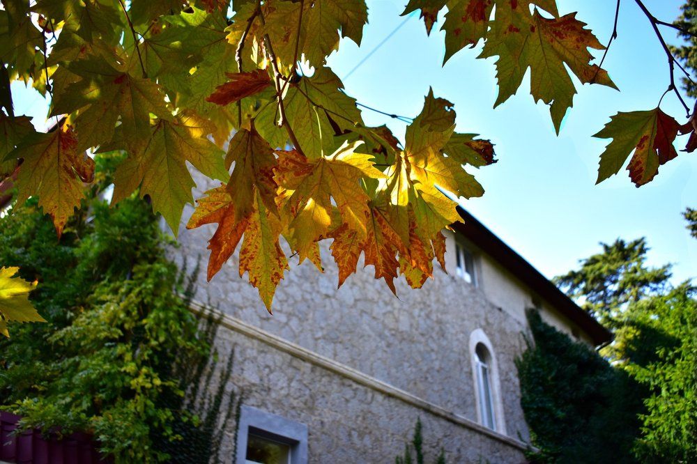 Photograph by Котова Лиза