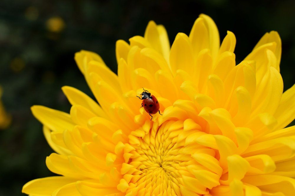 Photograph by Котова Лиза
