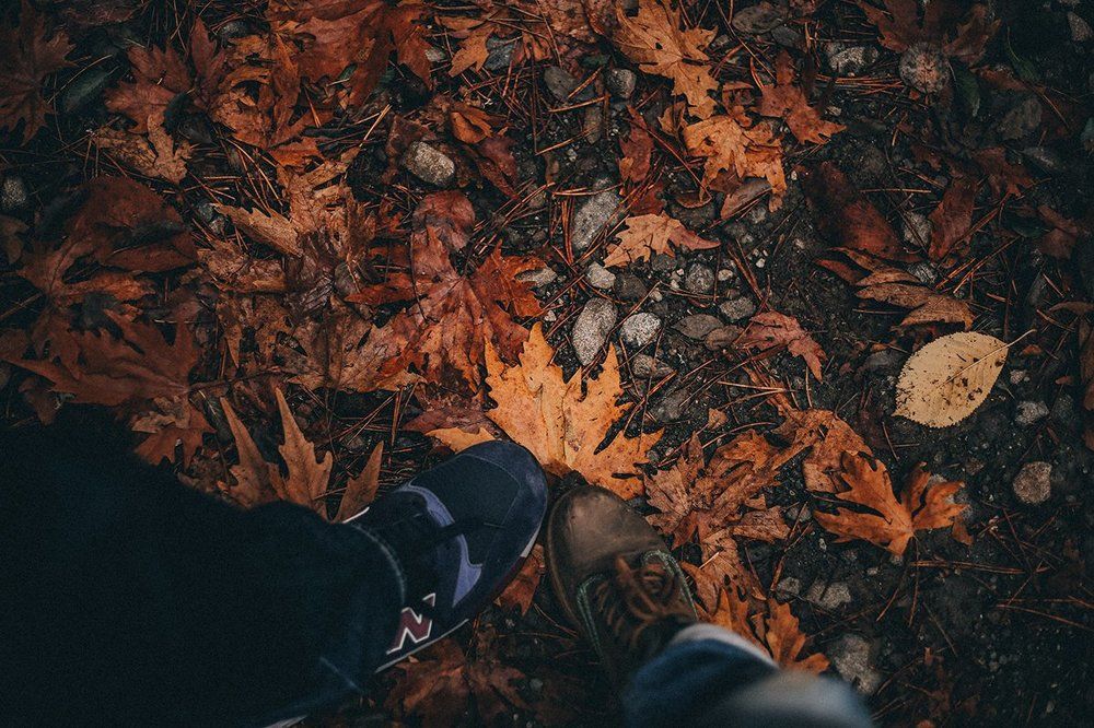Mountains of Troodos