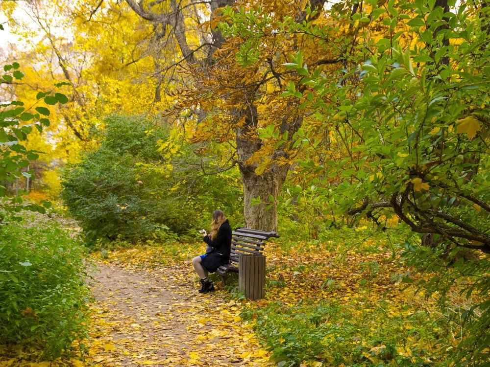 Make your beauty shine