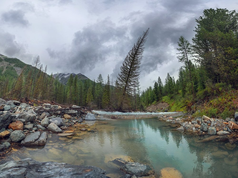 После дождя