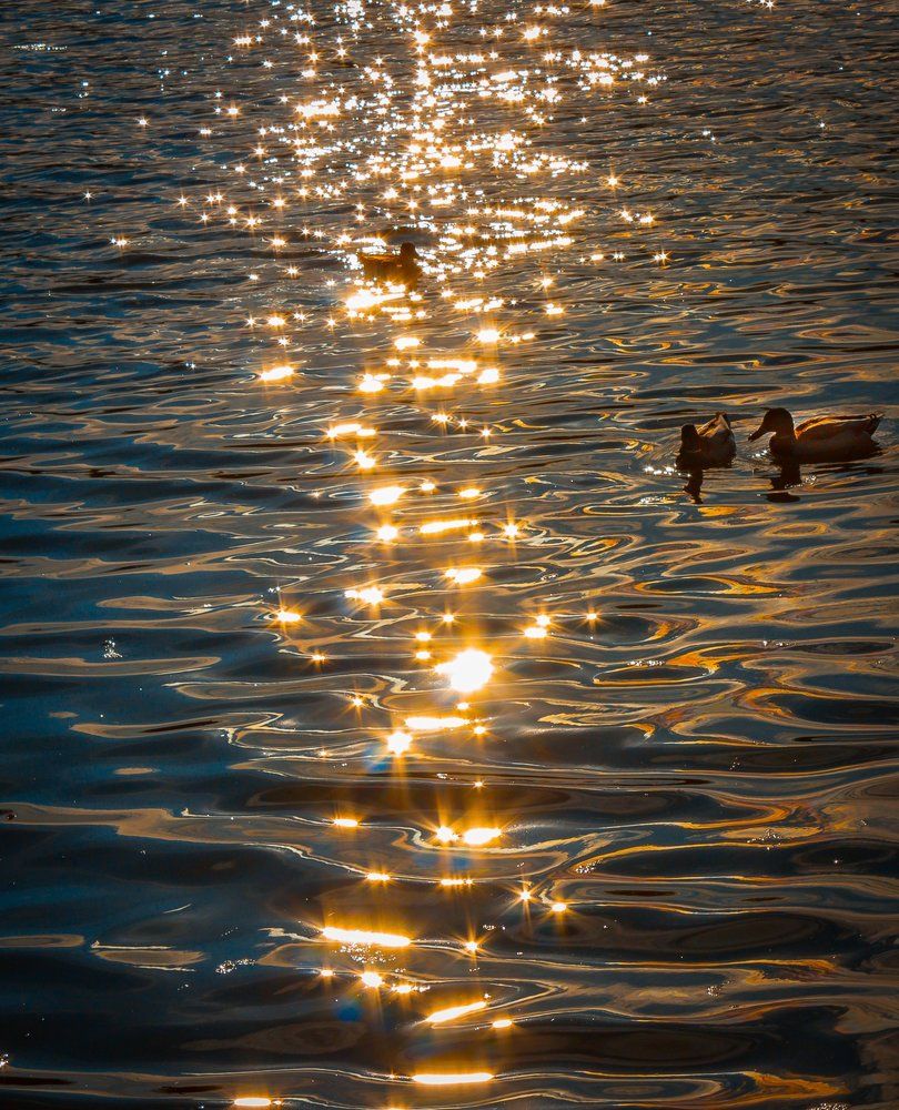 Прогулка по лунной дорожке