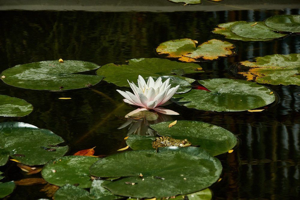 Photograph by вадим аврахов