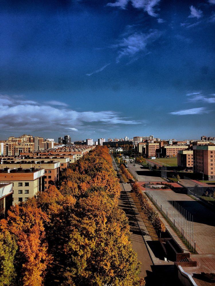 Мой милый ад.