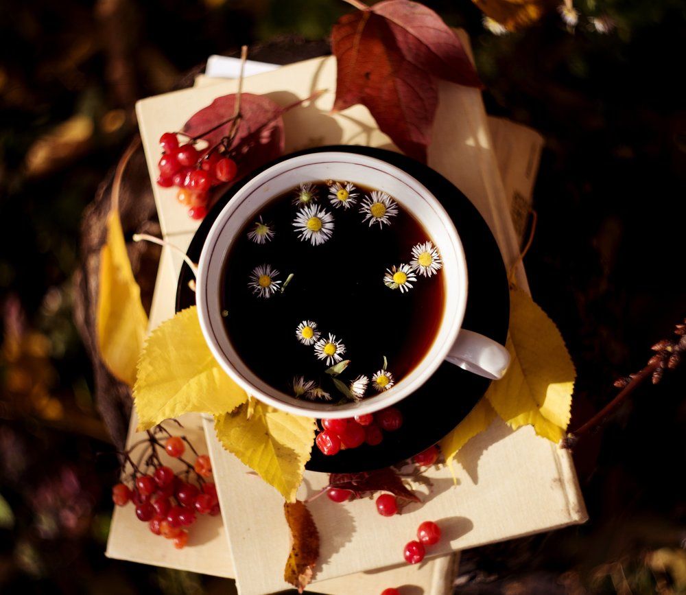 чашечка осень