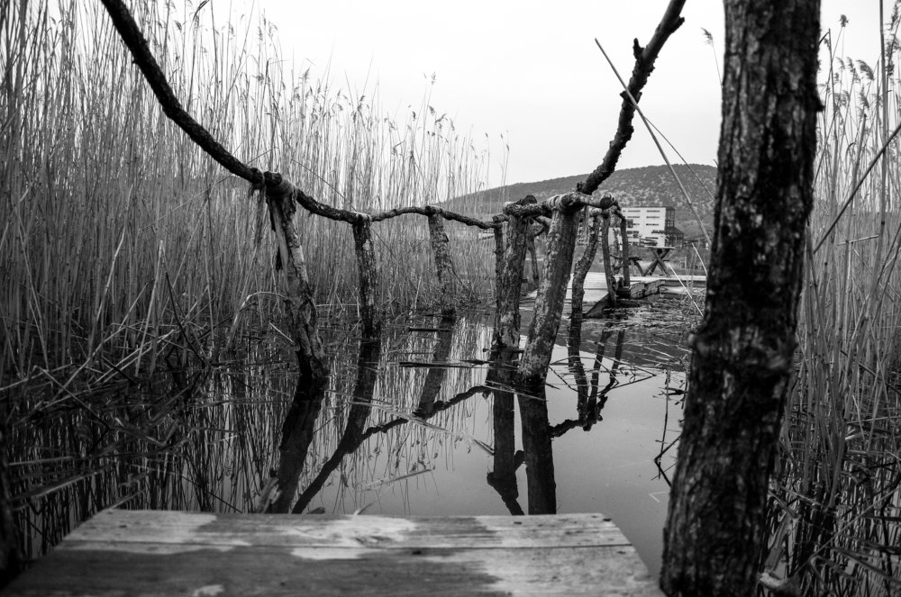 Photograph by Михаил Курихин