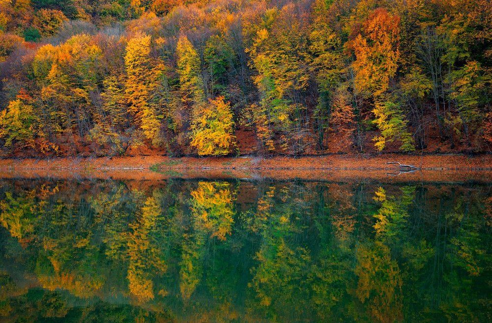 Зазеркалье