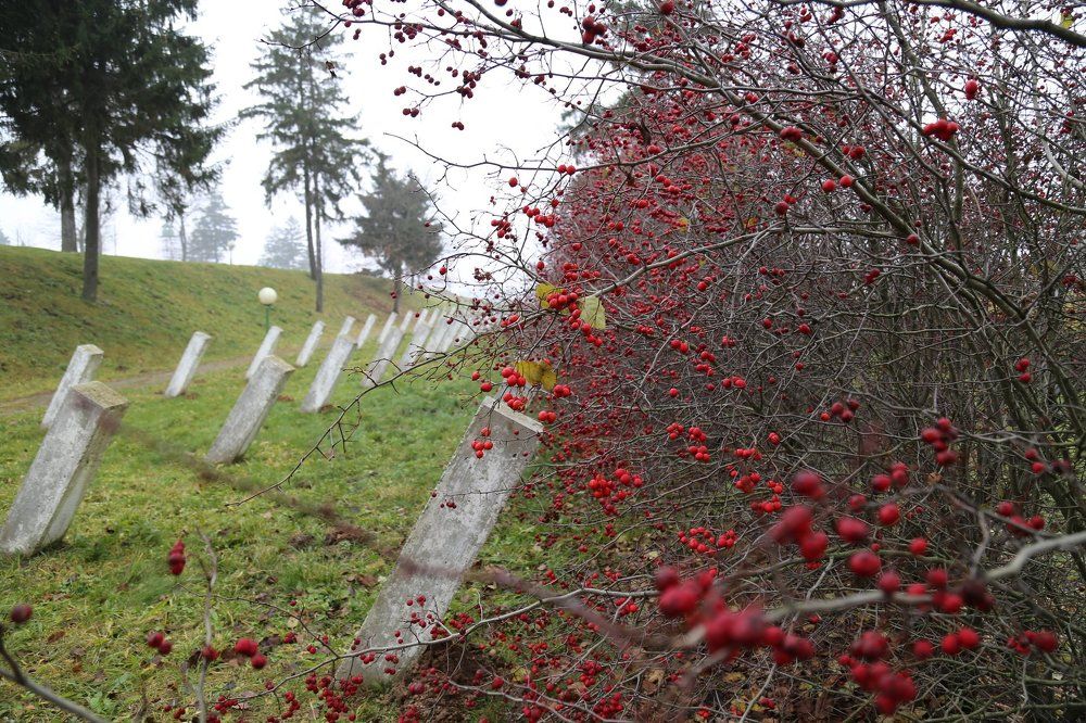 "Осень-2017 на линии минского укрепрайона 1941г."