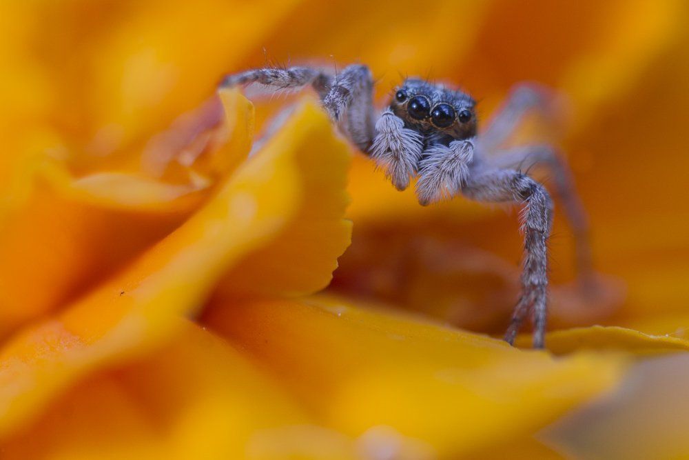 looking for hiding place