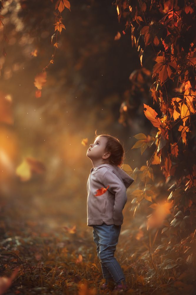 Волшебная осень