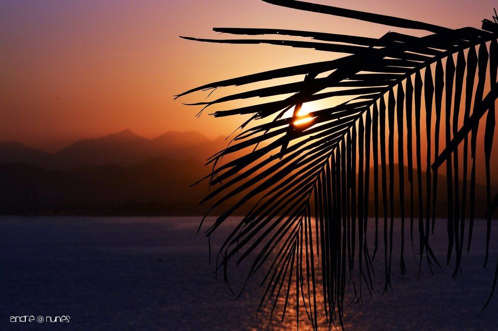 Photograph by Andre Nunes