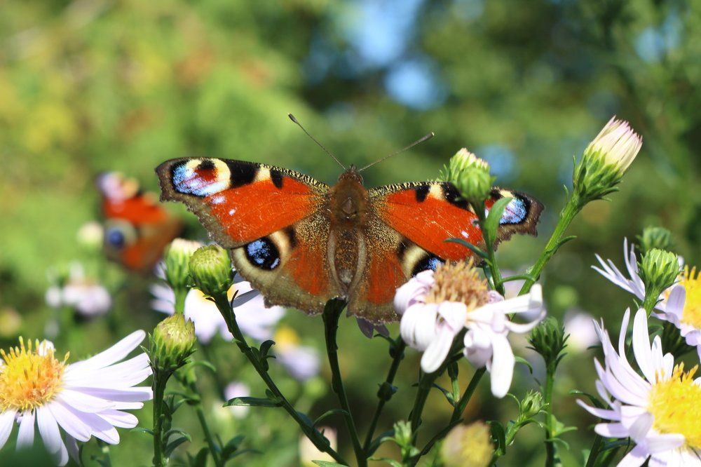 Photograph by Светлана