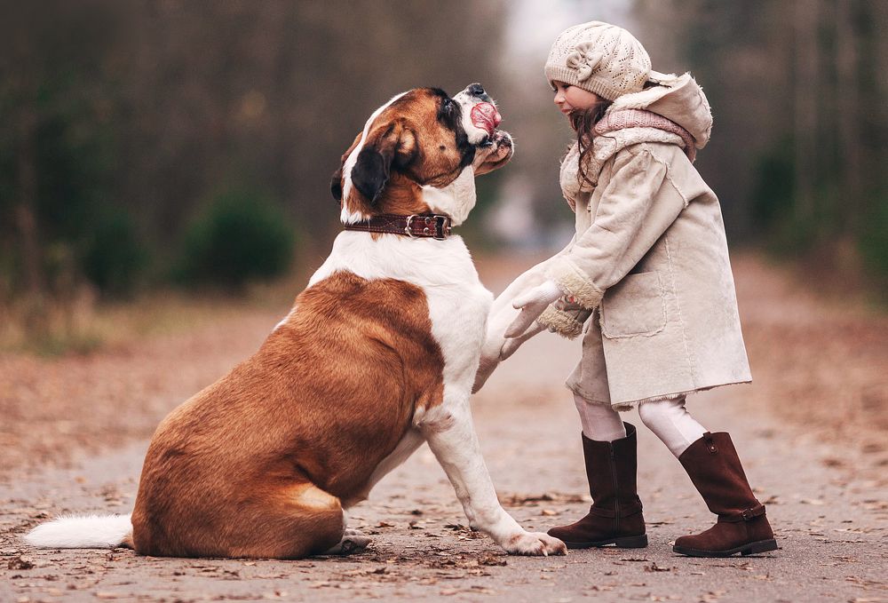 Поделись улыбкою своей!