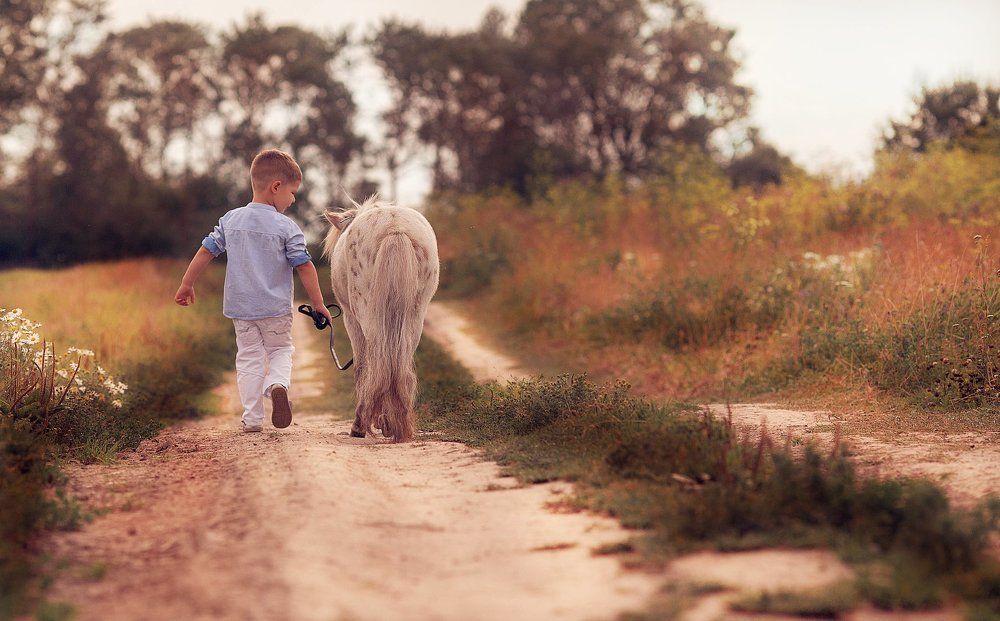 Когда деревья были большими..