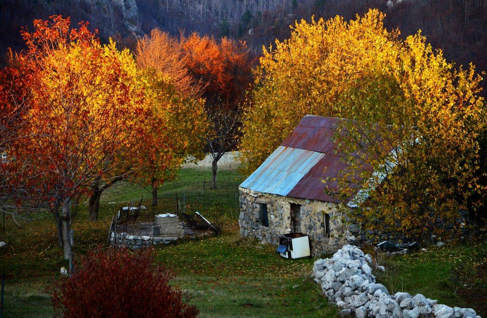 The autumn in a mountains