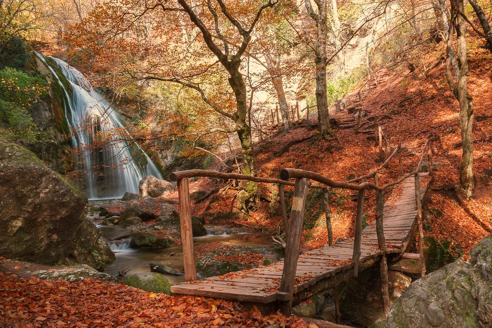 Светлая осень.