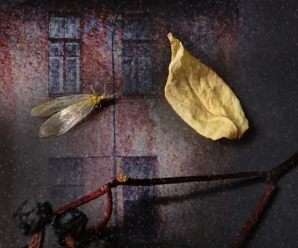 Последний лист