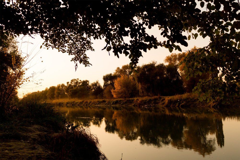 Отражение осени