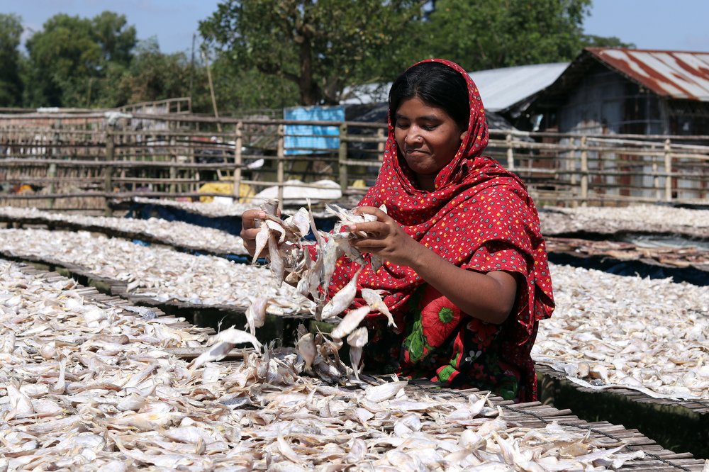 Dried Fish Worker